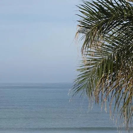 Hotel Palmar Boutique