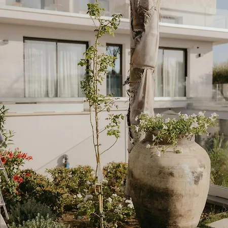 Hotel Palmar Boutique 4*