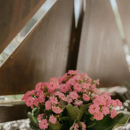 Hotel Palmar Boutique 4*