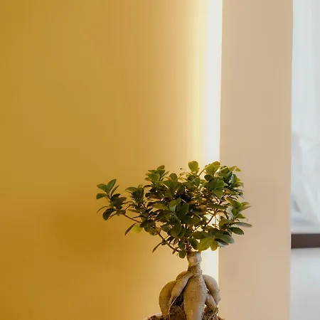 Hotel Palmar Boutique Campofelice Di Roccella